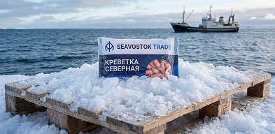 Креветка Северная